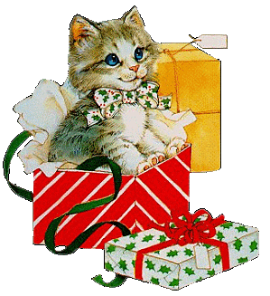 a cute christmas kitty